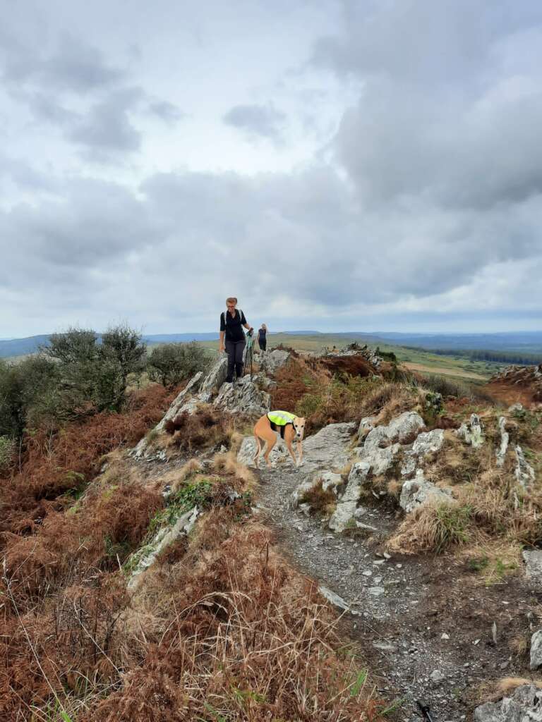 la-maison-de-lydie-swiftelodge-chambres-dhôtes-monts-darrée-finistère-bretagne-alentours-randonnée