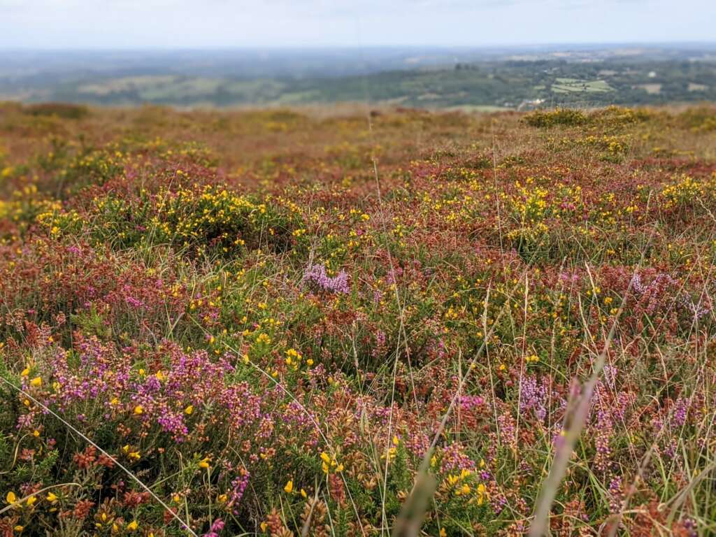 la-maison-de-lydie-swiftelodge-chambres-dhôtes-monts-darrée-finistère-bretagne-alentours-randonnée